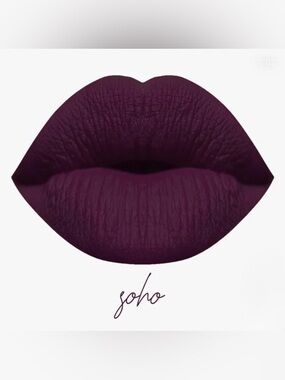 NIB Karity Lip Lock Velvet Liquid Lipstick - Soho